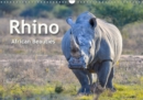 Rhinos, african beauties 2019 : Wonderful animals, threatened with extinction - Book