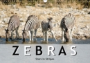 Zebras, stars in stripes 2019 : Fill your year with stripes with these 12 pictures of zebras - Book