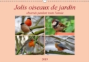 Jolis oiseaux de jardin 2019 : Observes pendant toute l'annee... - Book