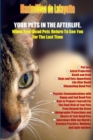 Your Pets in the Afterlife: When Your Dead Pets Return to See You for the Last Time - Book