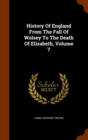 History of England from the Fall of Wolsey to the Death of Elizabeth, Volume 7 - Book