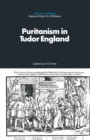 Puritanism in Tudor England - eBook