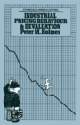 Industrial Pricing Behaviour and Devaluation : Studies in Planning and Control - eBook