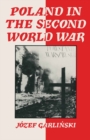 Poland in the Second World War - eBook