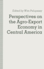 Perspectives on the Agro-Export Economy in Central America - Book