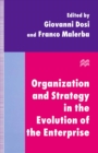 Organization and Strategy in the Evolution of the Enterprise - eBook