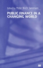 Public Finance in a Changing World - eBook