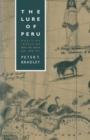 The Lure of Peru : Maritime Intrusion into the South Sea, 1598-1701 - Book