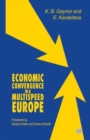 Economic Convergence in a Multispeed Europe - Book