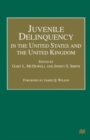 Juvenile Delinquency in the United States and the United Kingdom - Book