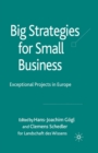 Big Strategies for Small Business : Exceptional Projects in Europe - Book