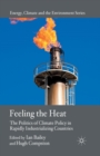 Feeling the Heat : The Politics of Climate Policy in Rapidly Industrializing Countries - Book