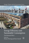 Energy Efficiency and Sustainable Consumption : The Rebound Effect - Book