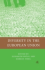 Diversity in the European Union - Book