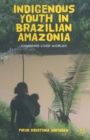 Indigenous Youth in Brazilian Amazonia : Changing Lived Worlds - Book