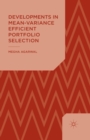 Developments in Mean-Variance Efficient Portfolio Selection - Book