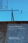 Young Offenders : Crime, Prison and Struggles for Desistance - Book