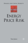 Energy Price Risk : Trading and Price Risk Management - Book