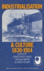 Industrialisation and Culture : 1830-1914 - eBook