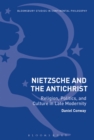 Nietzsche and The Antichrist : Religion, Politics, and Culture in Late Modernity - Book