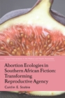 Abortion Ecologies in Southern African Fiction : Transforming Reproductive Agency - eBook