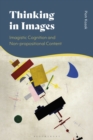 Thinking in Images : Imagistic Cognition and Non-Propositional Content - eBook