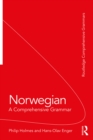 Norwegian: A Comprehensive Grammar - eBook