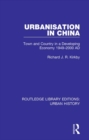 Urbanization in China : Town and Country in a Developing Economy 1949-2000 AD - eBook