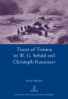 Traces of Trauma in W. G. Sebald and Christoph Ransmayr - eBook