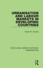 Urbanisation and Labour Markets in Developing Countries - eBook