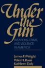 Under the Gun : Weapons, Crime, and Violence in America - eBook