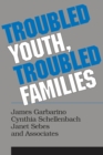 Troubled Youth, Troubled Families : Understanding Families at Risk for Adolescent Maltreatment - eBook
