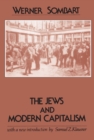 The Jews and Modern Capitalism - eBook