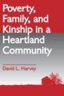 Poverty, Family, and Kinship in a Heartland Community - eBook