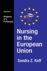 Nursing in the European Union : Anatomy of a Profession - eBook