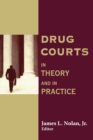 Drug Courts : In Theory and in Practice - Jr. Nolan
