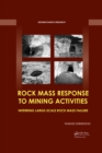 Rock Mass Response to Mining Activities : Inferring Large-Scale Rock Mass Failure - eBook