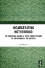 Incarcerating Motherhood : The Enduring Harms of First Short Periods of Imprisonment on Mothers - eBook