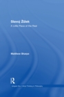 Slavoj Zizek : A Little Piece of the Real - eBook