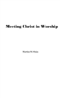 Meeting Christ in Worship - Book