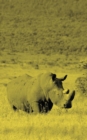 Alive! white rhino - Yellow duotone - Photo Art Notebooks (5 x 8 series) - Book