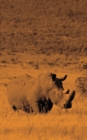 Alive! white rhino - Sepia - Photo Art Notebooks (5 x 8 series) - Book