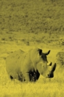 Alive! white rhino - Yellow duotone - Photo Art Notebooks (6 x 9 version) : by Photographer Eva-Lotta Jansson - Book
