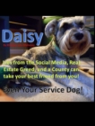 Daisy : Lying from the Social Media can take your best friend and Dog away! - Book