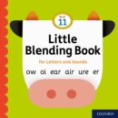 Little Blending Books for Letters and Sounds: Book 11 - Book