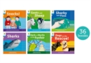 Oxford Reading Tree: Floppy's Phonics Decoding Practice: Oxford Level 3: Class Pack of 36 - Book