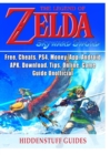 Legend of Zelda Skyward Sword, Switch, Wii, Walkthrough, Characters, Bosses, Amiibo, Items, Tips, Cheats, Game Guide Unofficial - Book