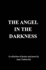 The Angel In The Darkness - Book