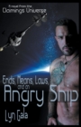 Ends, Means, Laws and an Angry Ship - Book