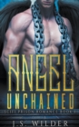 Angel Unchained - Book